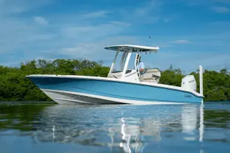 Thumbnail von Boston Whaler 250 Dauntless