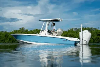 Thumbnail von Boston Whaler 250 Dauntless