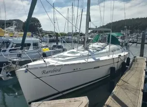 Thumbnail von Beneteau Oceanis Clipper 393 RAREBIRD