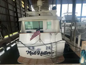 Thumbnail von Hatteras 65 Convertible