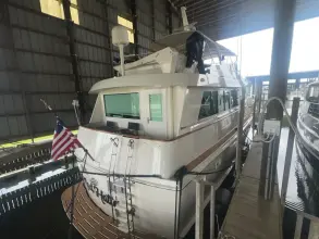 Thumbnail von Hatteras 65 Convertible