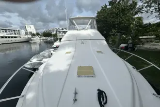 Thumbnail von Bertram 450 Convertible