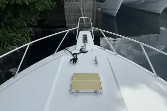 Thumbnail von Bertram 450 Convertible