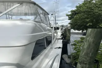 Thumbnail von Bertram 450 Convertible