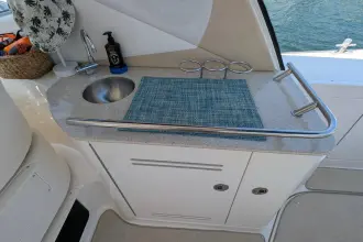 Thumbnail von Sea Ray 350 Sundancer