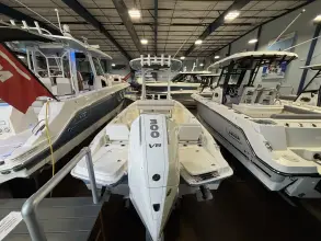 Thumbnail von Boston Whaler 250 Dauntless