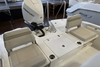 Thumbnail von Boston Whaler 250 Dauntless