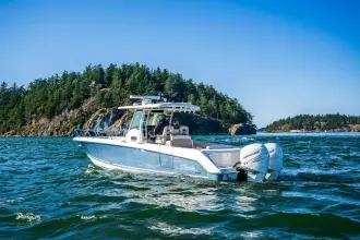 Thumbnail von Boston Whaler 330 Outrage