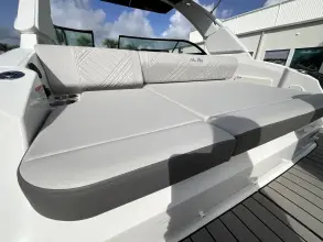 Thumbnail von Sea Ray SDX 250 Outboard