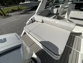 Thumbnail von Sea Ray SDX 250 Outboard