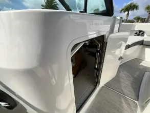 Thumbnail von Sea Ray SDX 250 Outboard