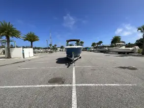 Thumbnail von Sea Ray SDX 250 Outboard