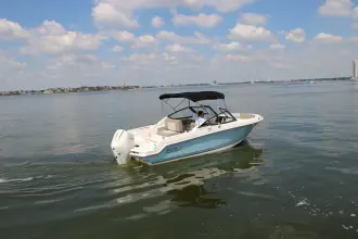 Thumbnail von Boston Whaler 210 Vantage