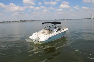 Thumbnail von Boston Whaler 210 Vantage