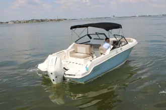 Thumbnail von Boston Whaler 210 Vantage