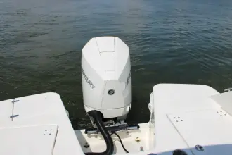 Thumbnail von Boston Whaler 210 Vantage