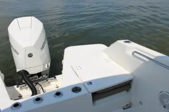 Thumbnail von Boston Whaler 210 Vantage