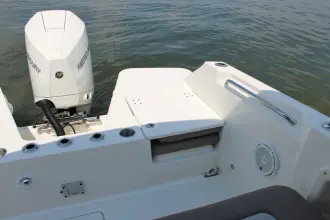 Thumbnail von Boston Whaler 210 Vantage