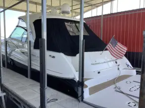 Thumbnail von Sea Ray 52 Sundancer