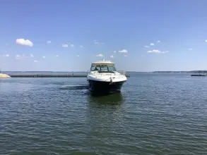 Thumbnail von Sea Ray 52 Sundancer