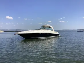 Thumbnail von Sea Ray 52 Sundancer