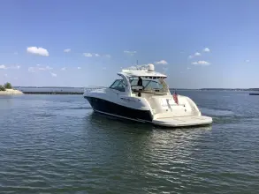 Thumbnail von Sea Ray 52 Sundancer