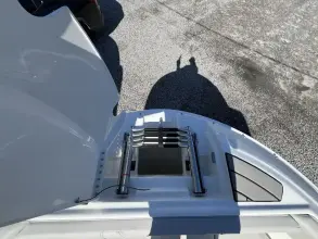 Thumbnail von Sea Ray SDX 250 Outboard