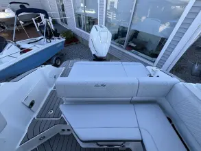Thumbnail von Sea Ray SDX 250 Outboard