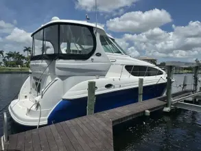 Thumbnail von Sea Ray 40 Motor Yacht
