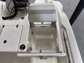 Thumbnail von Boston Whaler 250 Dauntless