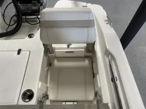 Thumbnail von Boston Whaler 250 Dauntless