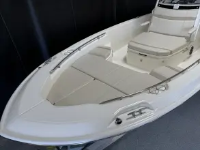 Thumbnail von Boston Whaler 250 Dauntless