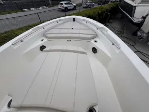 Thumbnail von Boston Whaler 220 Dauntless