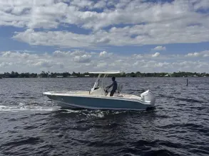 Thumbnail von Boston Whaler 220 Dauntless