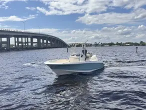 Thumbnail von Boston Whaler 220 Dauntless
