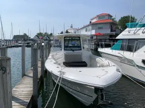 Thumbnail von Boston Whaler Outrage 330