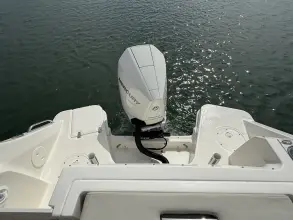 Thumbnail von Boston Whaler 240 Vantage