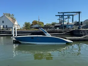 Sea Ray SDX 290 