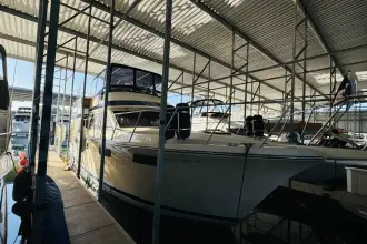 Thumbnail von Californian 48 Motor Yacht