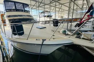 Thumbnail von Californian 48 Motor Yacht