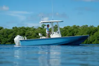 Thumbnail von Boston Whaler 210 Montauk