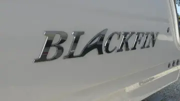 Thumbnail von Blackfin 252 DC
