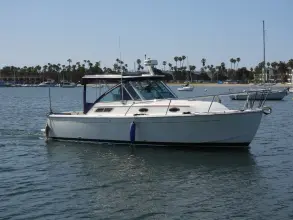 Back Cove 29