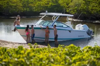 Blackfin 272 DC