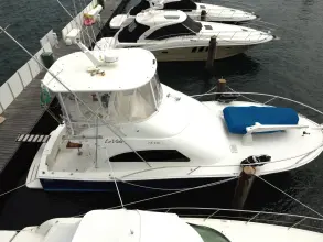 Thumbnail von Luhrs 41 Convertible Luhrs