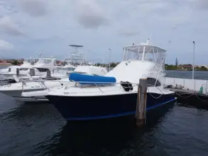 Thumbnail von Luhrs 41 Convertible Luhrs