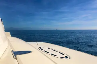 Thumbnail von Sea Ray 355 Sundancer