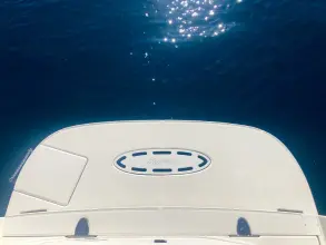 Thumbnail von Sea Ray 355 Sundancer