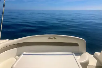 Thumbnail von Sea Ray 355 Sundancer