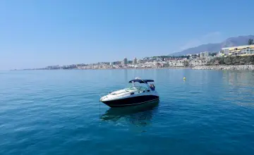 Thumbnail von Sea Ray 355 Sundancer
